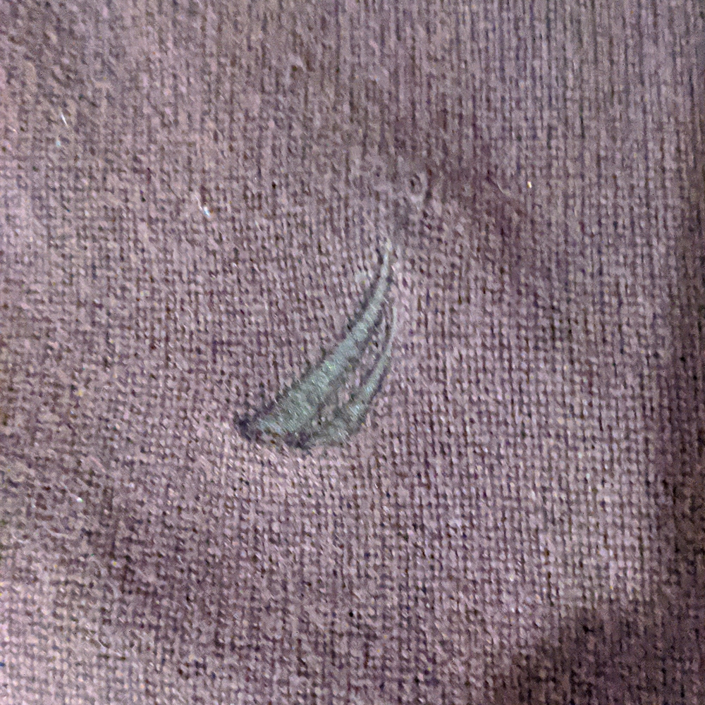 Nautica full zip sweater, 100% cotton - Picture 3 of 8